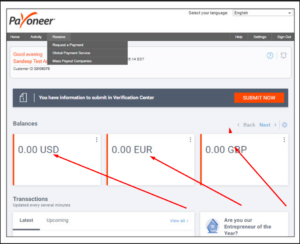 Buy Verified payoneer Account